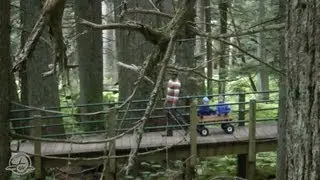 Hemlock Grove Boardwalk: A Barrier-Free Experience in Glacier National Park