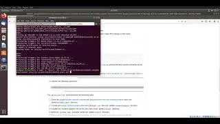 Google Tsunami Security Scanner - Quick install an example run - NO AUDIO