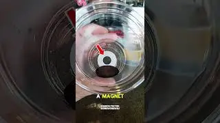 The Secret Behind Bottom-Filling Glasses🧐