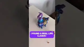 Found a Real Life Fortnite Llama Made of Lego #FortniteGaming #DIYCreative