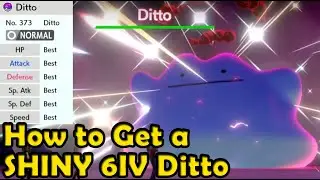 Pokemon Sword & Shield - How to Get a Shiny 6IV Ditto Manually (Leanny's Seed Searcher Guide)
