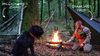 2 DAY Wild Camping In The Old Forest - Millionaire's Chair & Adjustable Diamond Tarp Shelter