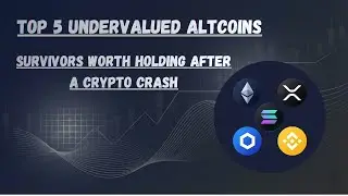 Top 5 Undervalued Altcoins | Survivors Worth Holding After a Crypto Crash