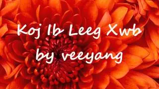 Koj Ib Leeg Xwb by veeyang