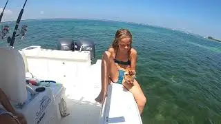 Not Afraid Of Crabs