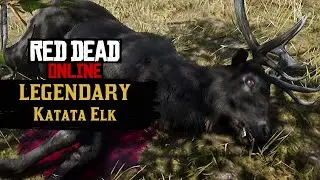 Hunting LEGENDARY Katata Elk! - Red Dead Online Naturalist Update