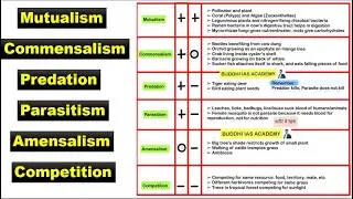 Symbiotic Relationship - Mutualism, commensalism, predation, parasitism, amensalism, competition