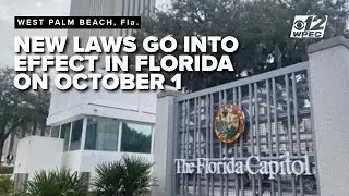 Florida&rsquo;s new laws take effect Oct. 1: What&rsquo;s changing and why it matters