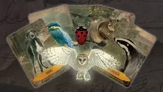 Oracle Deck Reveal! Animal Spirits of the Sacred Isles