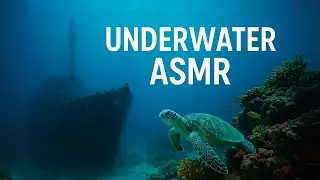 Underwater ASMR Adventure - Shipwrecks, Plane Wrecks & Ocean Life Sounds