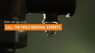SERVPRO of West Covina free mold inspection