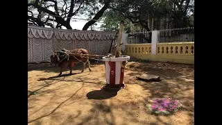 Desi Oil Mill - Desi Oil Mela 2026 Mysore