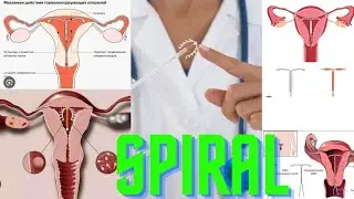 SPIRALLAR (BIV) haqida  !!!