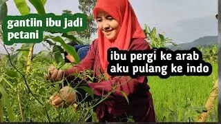 An Arab migrant worker is now a farmer who has replaced her mother because her mother left her fo...