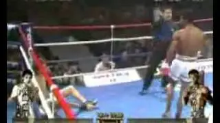 Buakaw    Dog out of Bangkok   YouTube