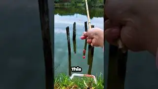 Most unique fish in the world fishing skills latest videos #fishing #fish #shorts