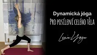 Dynamick&aacute; j&oacute;ga pro pos&iacute;len&iacute; cel&eacute;ho těla