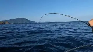 サワラ78cm