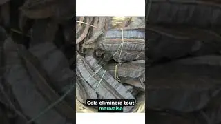 TOUT SUR LE 4 C&Ocirc;T&Eacute;S