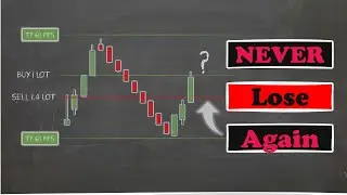 #never lose Trading Strategy Sensation: No-Loss Innovation!