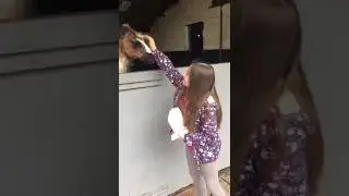 Beautiful llama ❤️