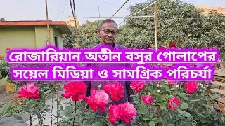 রোজারিয়ান অতীন বসুর গোলাপের সয়েল মিডিয়া ও সামগ্রিক পরিচর্যা|Rose Care Of Famous Rosarian Atin Basu||