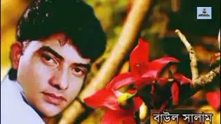 আর কি দেখা হবে না তার শনে গো এই জীবনে - বাউল সালাম 