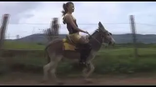 lady riding a poor donkey in grass  enjoying the ride
