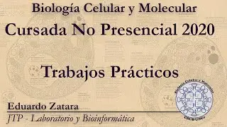BCM2020  - Modalidad No Presencial - Trabajos Pr&aacute;cticos