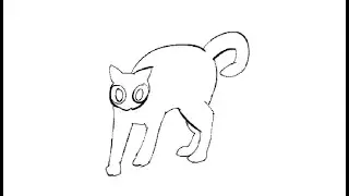 rotoscoping activity for college