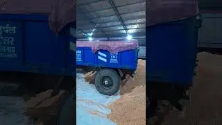 🌽Safe Maize Unloading Procedures | Nashik Maize 🌽 | @fruithouse_in #onion #onions #treding#onionrate