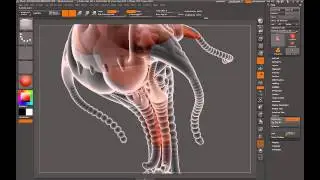 zsphere скелет для zsketch