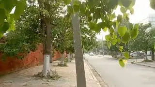 walking in Amritsar, India