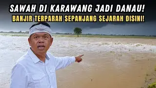 INI KACAU KDM❗SAWAH TIBA-TIBA BERUBAH JADI DANAU❗PERTAMA KALI BANJIR TAPI LANGSUNG PARAH DAMPAKNYA❗