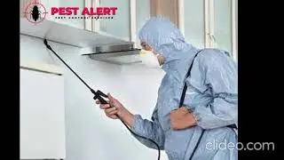 Cockroaches Control In Melbourne | Cockroaches Control Melbourne | Melbourne Cockroaches Control