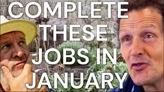 Monty Don's four gardening jobs that must be completed by the end of January!