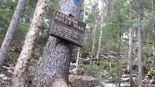 Ripley Falls - NH White Mountains - Trace Hike