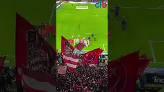 From the stands: Bayern fans celebrating with the players after Frankfurt 0 - 3 Bayern Munich