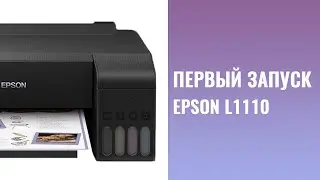 Заправка и первый запуск принтера Epson L1110