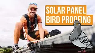 How to STOP Birds Nesting Under Your Solar Panels | Solar Panel Bird Proofing