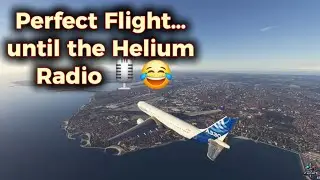 MSFS A330 | Perfect Flight... until the Helium Radio 🎙️😂 | Larnaca ✈️ Istanbul | MSFS 2024