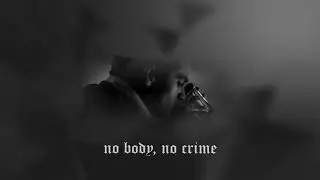 taylor swift - no body, no crime (slowed + reverb)