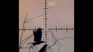 LONG RANGE CROW HUNTING 195 METRES 