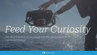 Feed Your Curiosity: Talking about the Future of Marine Tech with Blue Robotics