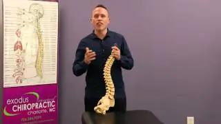 Brain Reward Cascade and Reward Deficiency Syndrome being corrected through TRT Chiropractic