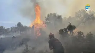 Impacto Ambiental de las Quemas Agrícolas