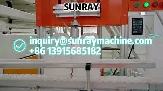 Daily Chemical Bottle Extrusion Blow Molding Machine