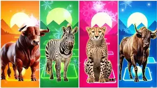 Funny Bull 🐂🆚 Funny Zebra 🦓🆚 Funny Gipard 🐅🆚 Funny Bull 🐃🆚 Tiles Hop EDM Rush