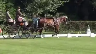 William Slater, Zeiskam 2016, Dressur