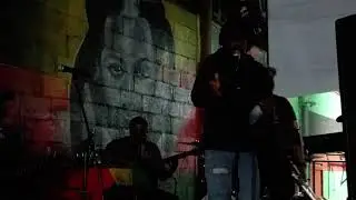 Jerry P Lehl Live Performance at Cattleya1